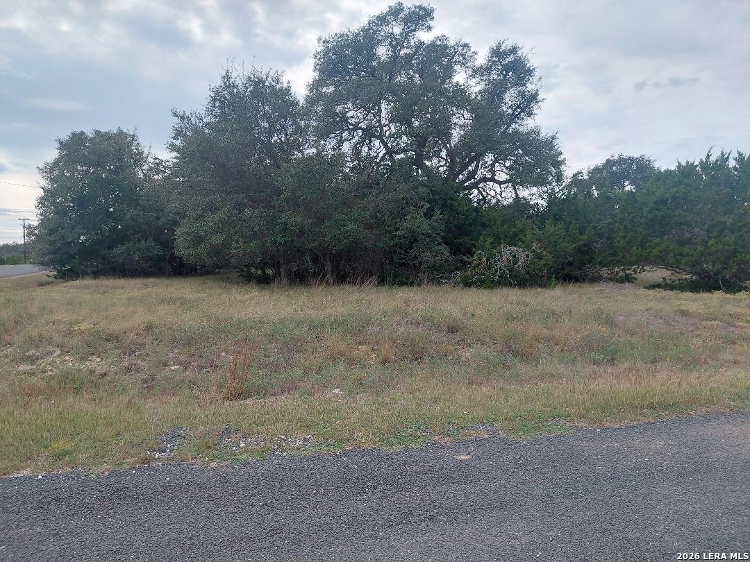 LOT 448 William Wood, Blanco, TX 78606
