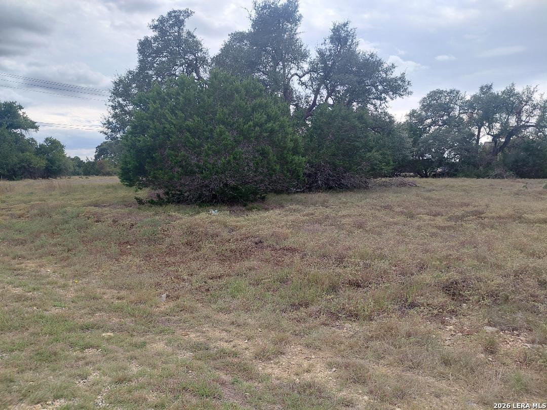 LOT 448 William Wood, Blanco, TX 78606