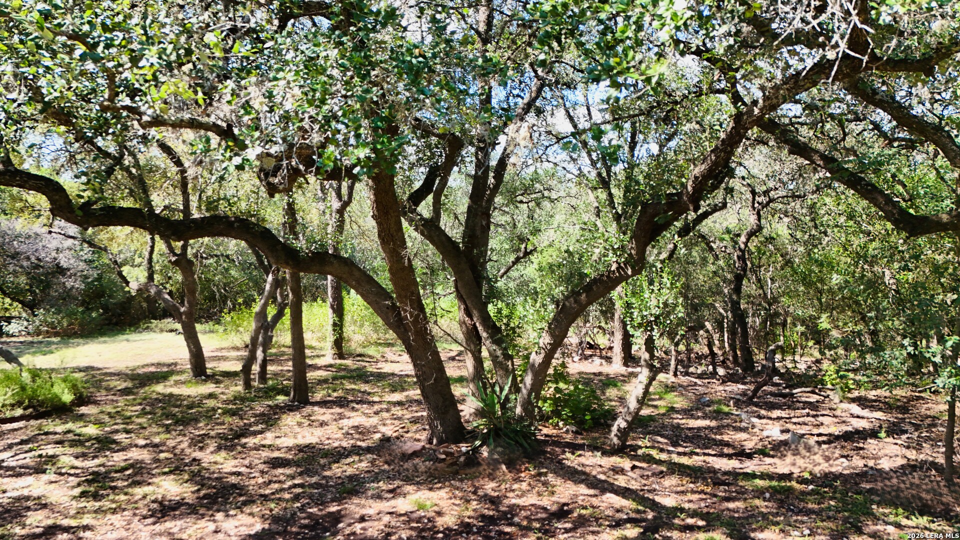 103 TUSCARORA TRL, Shavano Park, TX 78231