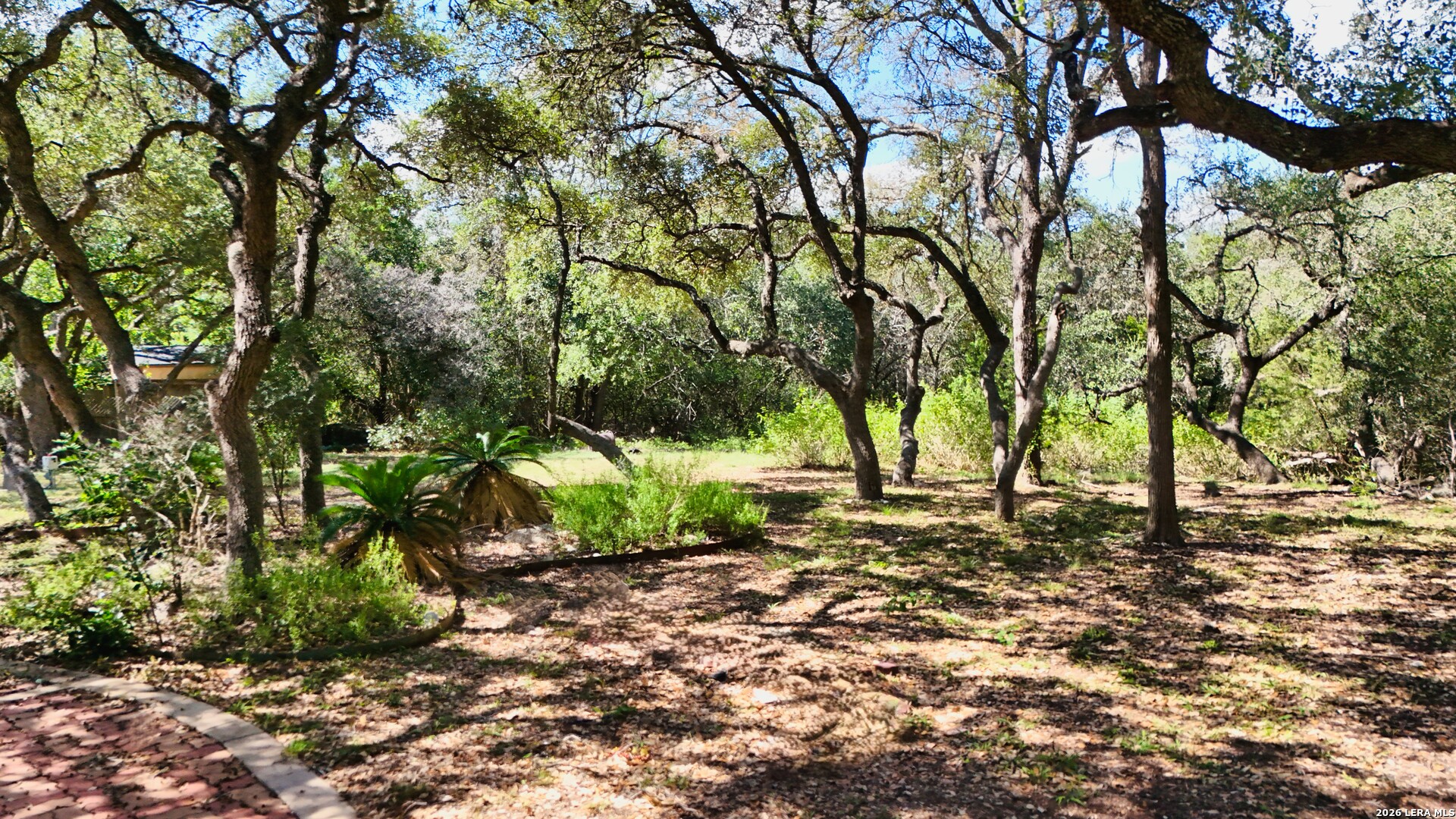 103 TUSCARORA TRL, Shavano Park, TX 78231
