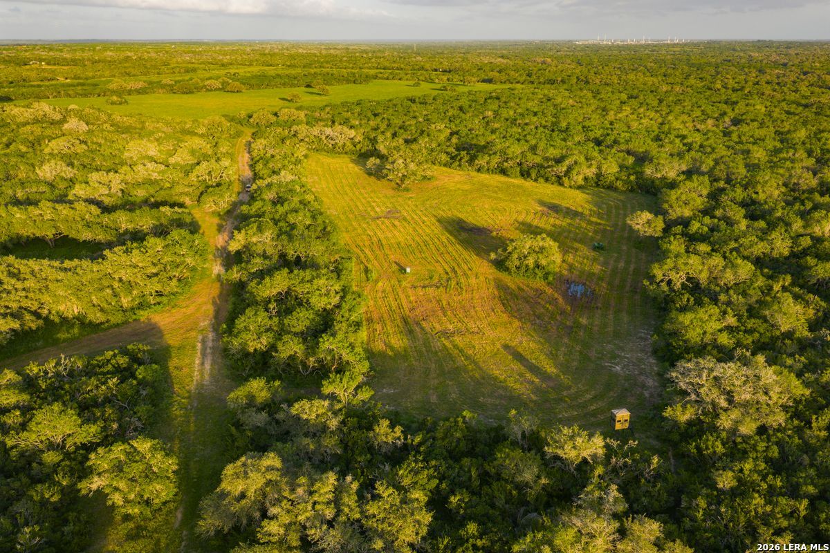 10255 County Road 113, Pettus, TX 78146