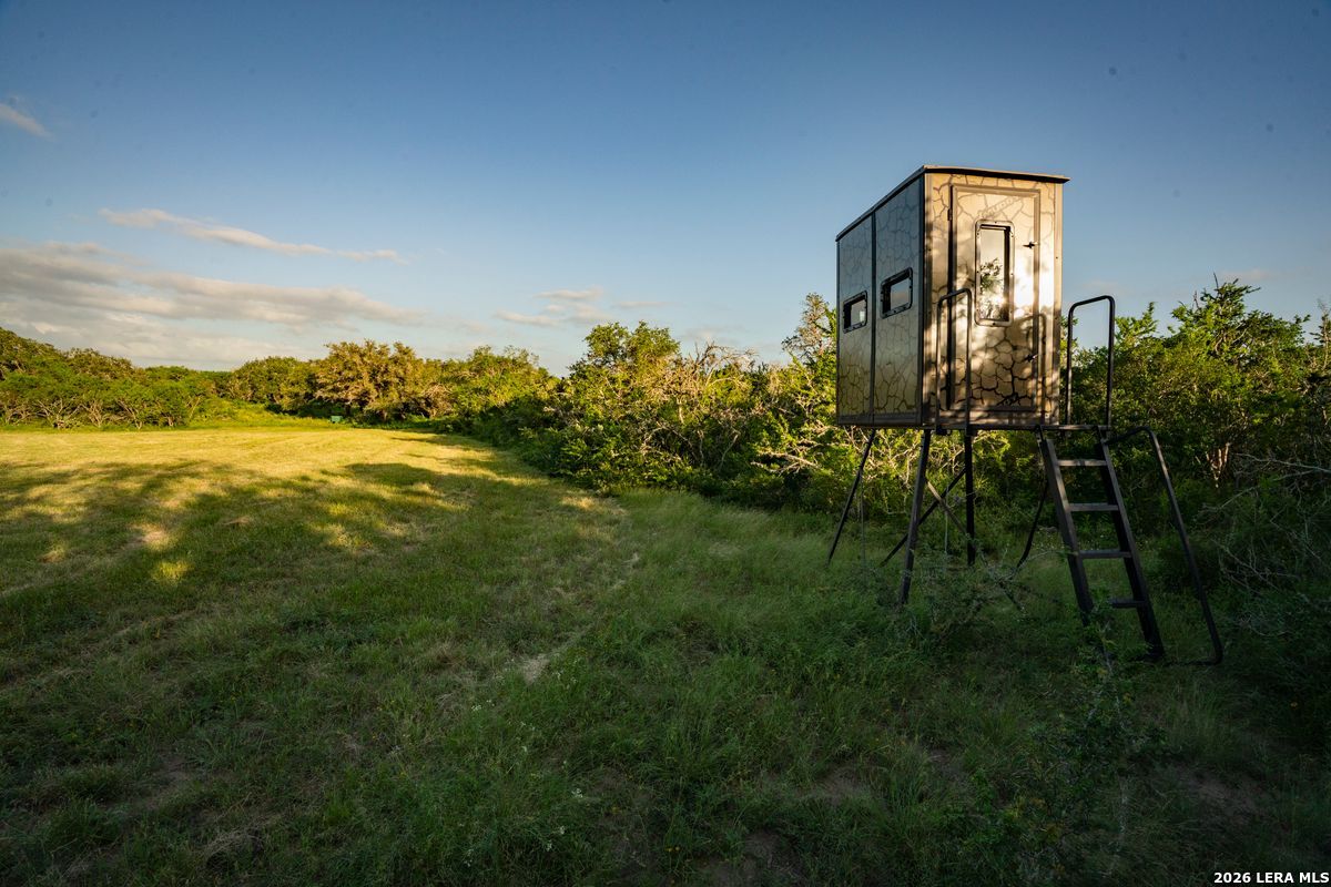 10255 County Road 113, Pettus, TX 78146