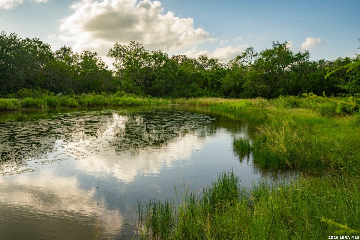 10255 County Road 113, Pettus, TX 78146