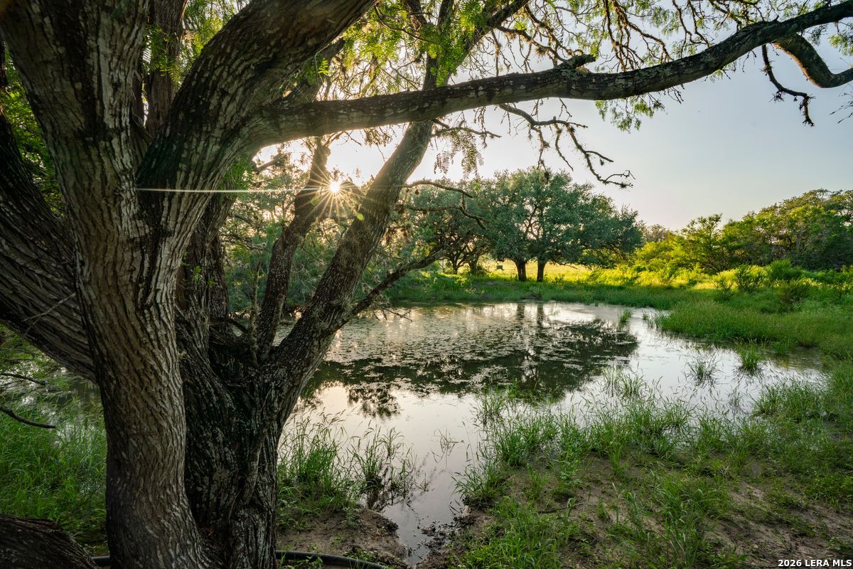 10255 County Road 113, Pettus, TX 78146