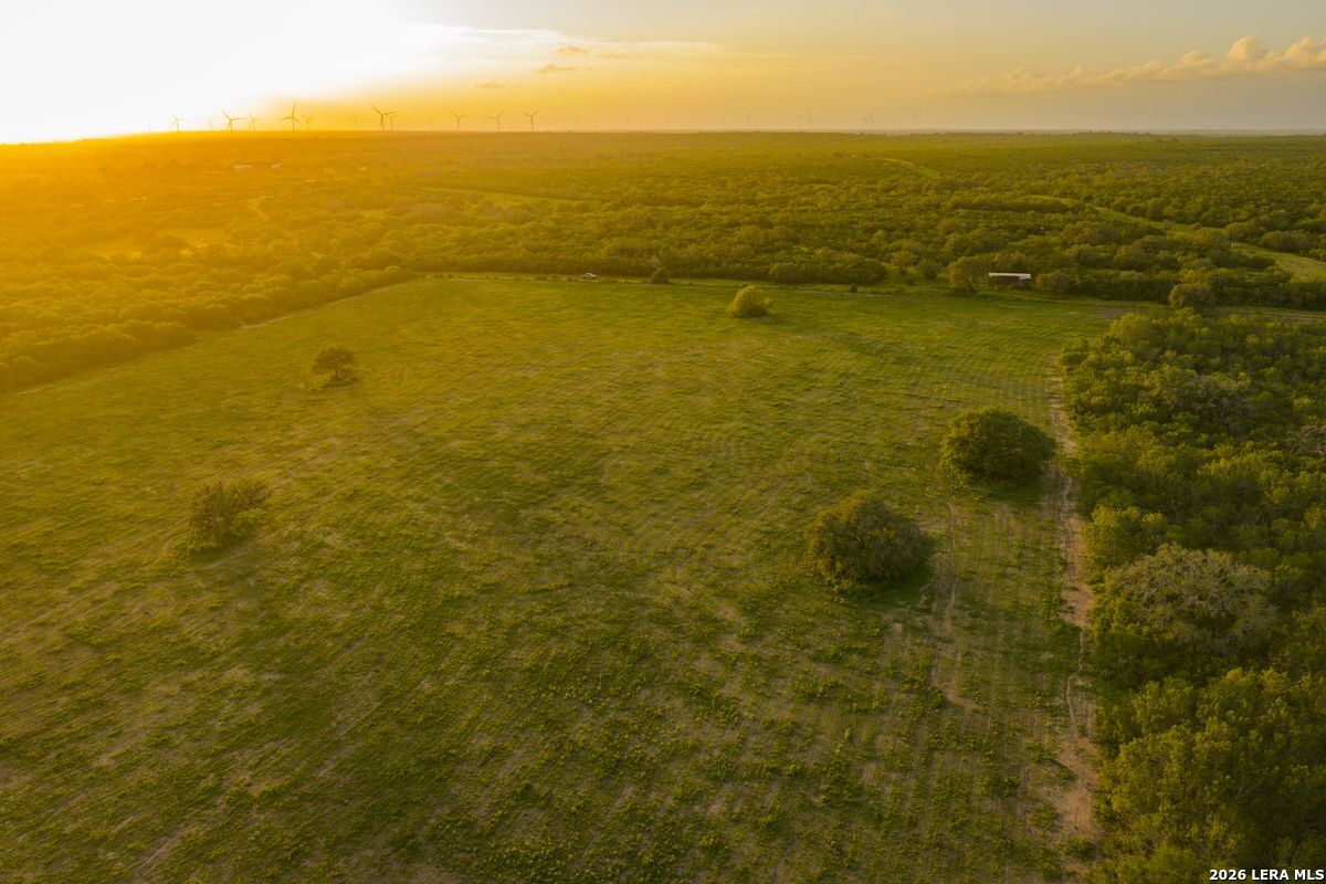 10255 County Road 113, Pettus, TX 78146