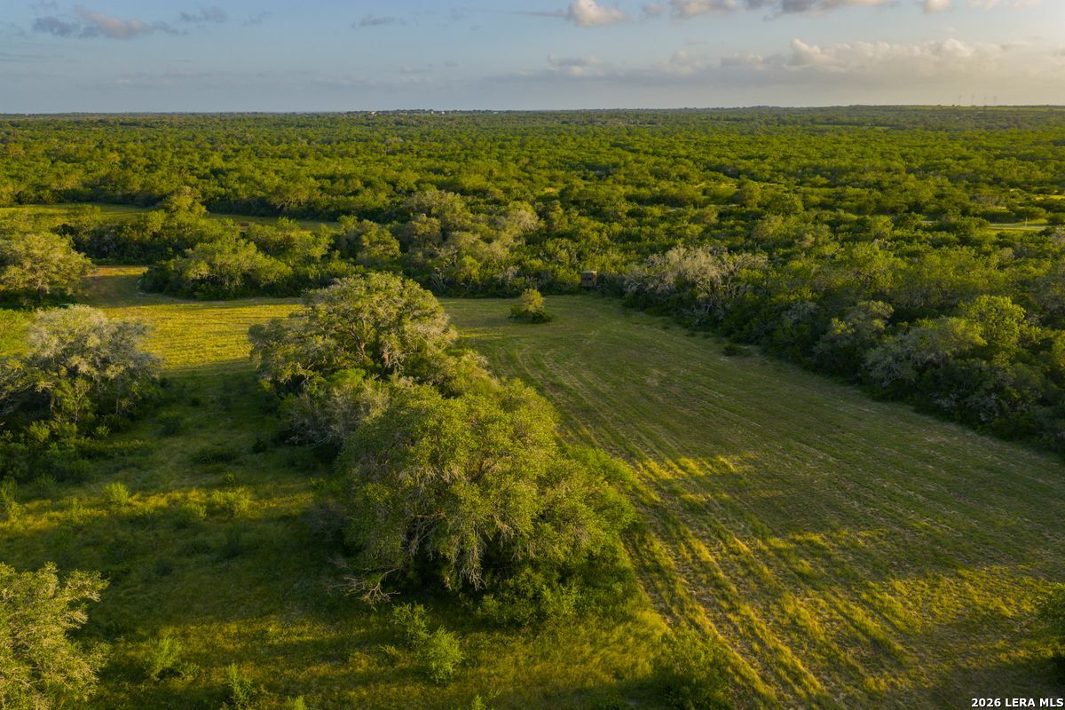10255 County Road 113, Pettus, TX 78146