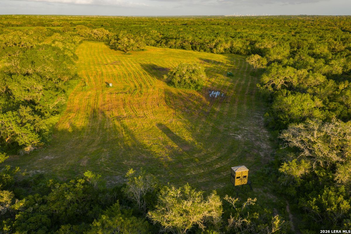 10255 County Road 113, Pettus, TX 78146