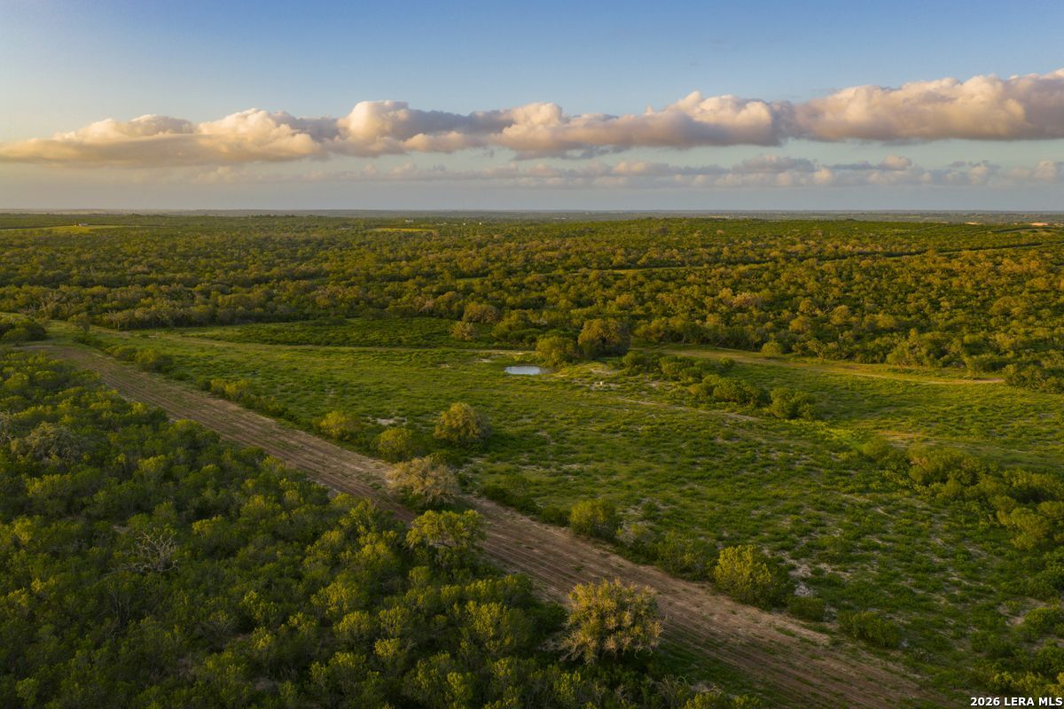 10255 County Road 113, Pettus, TX 78146