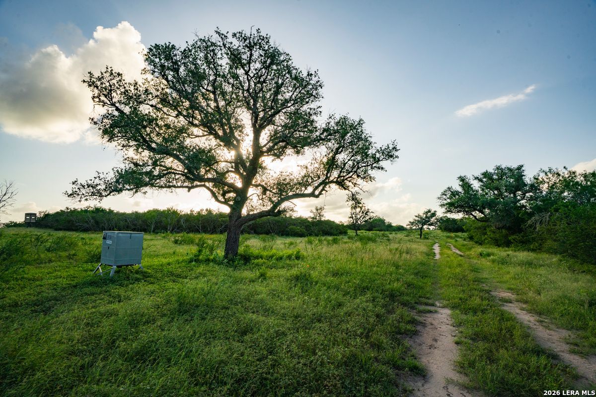 10255 County Road 113, Pettus, TX 78146