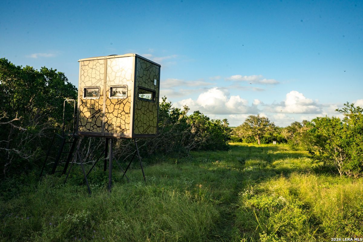 10255 County Road 113, Pettus, TX 78146