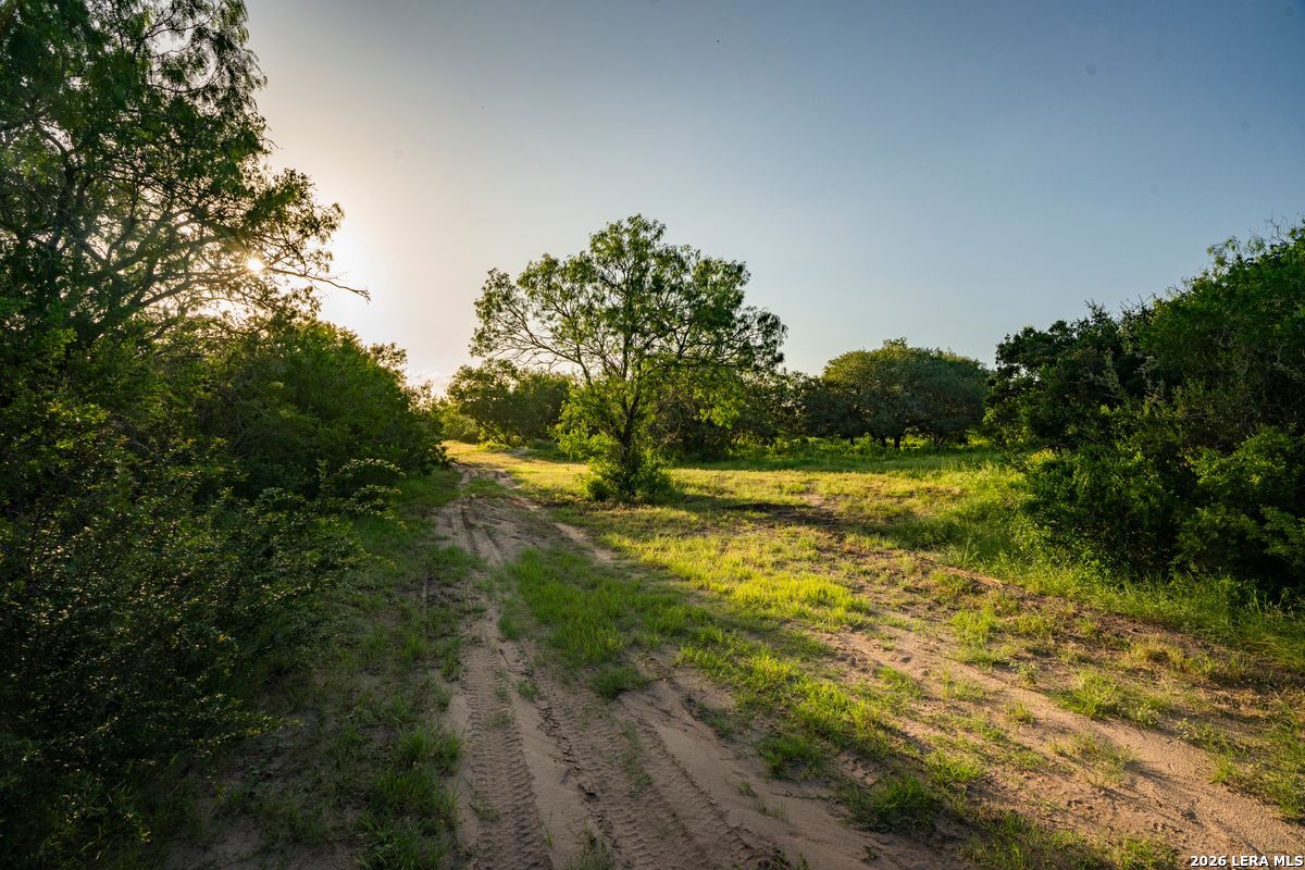 10255 County Road 113, Pettus, TX 78146