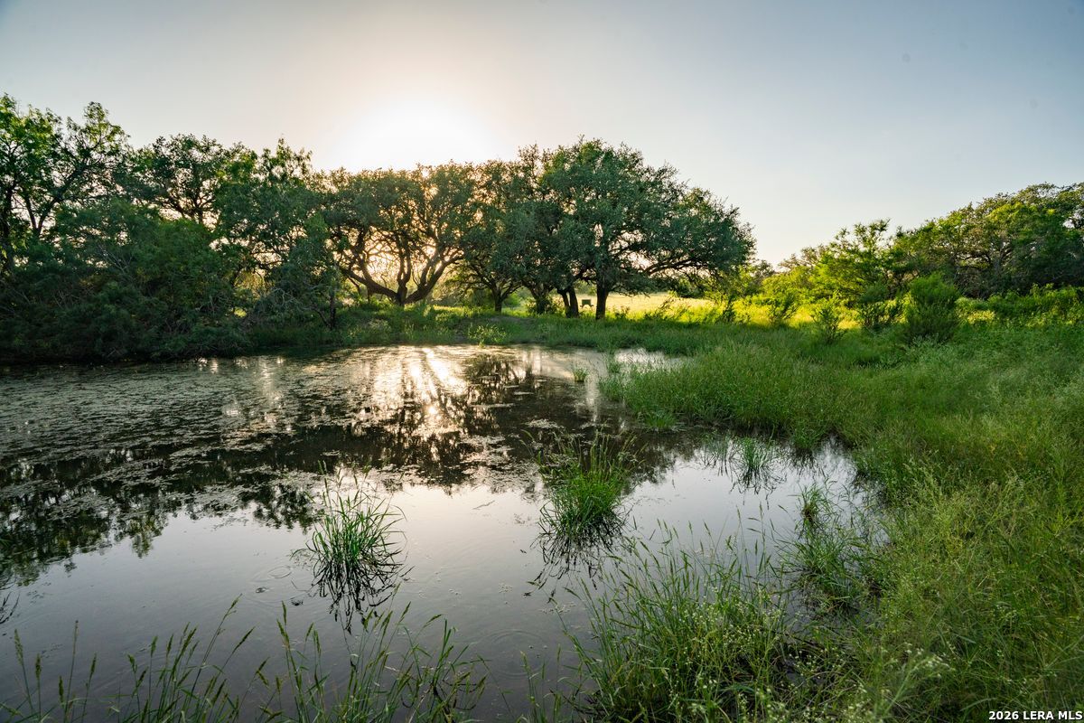 10255 County Road 113, Pettus, TX 78146