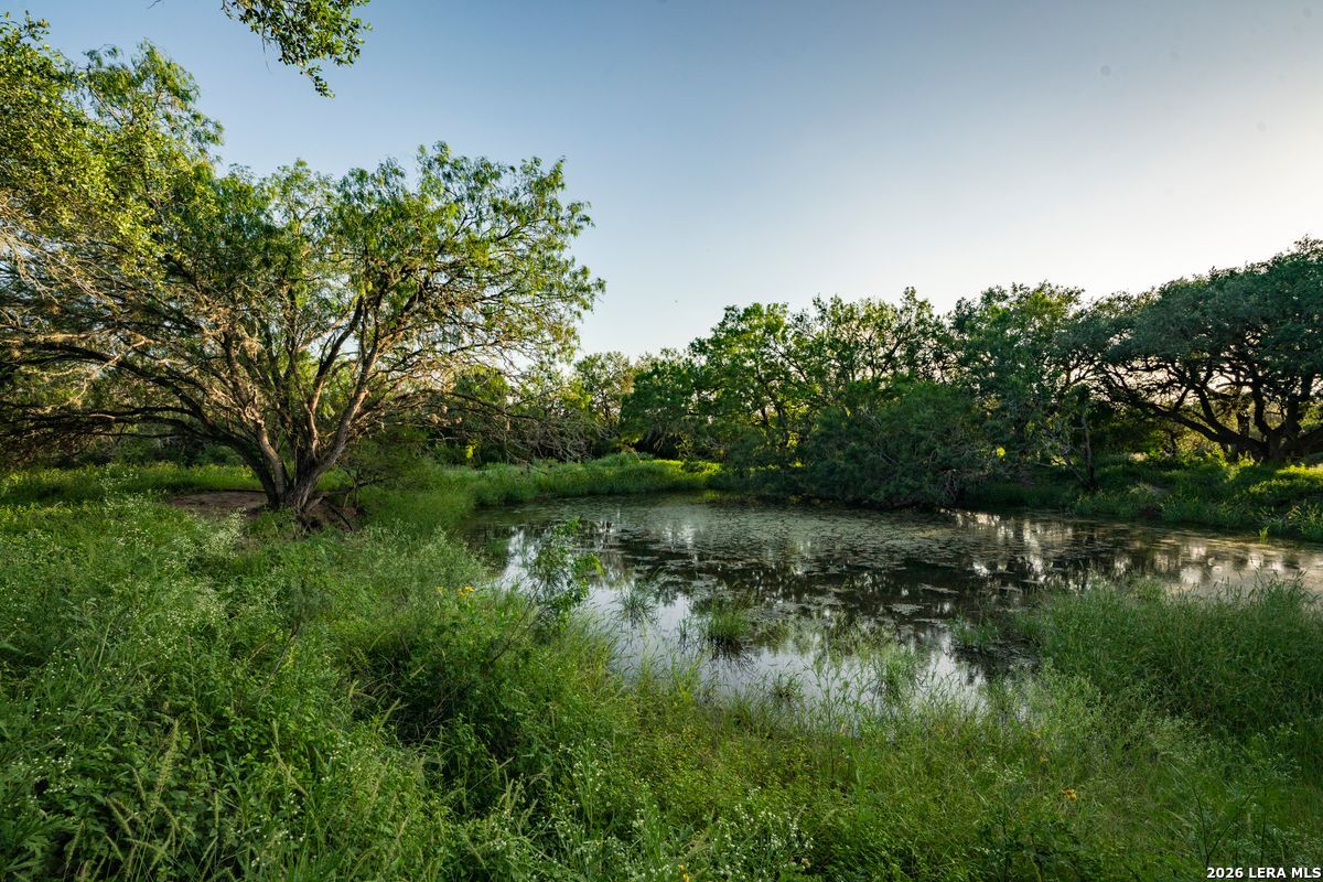 10255 County Road 113, Pettus, TX 78146
