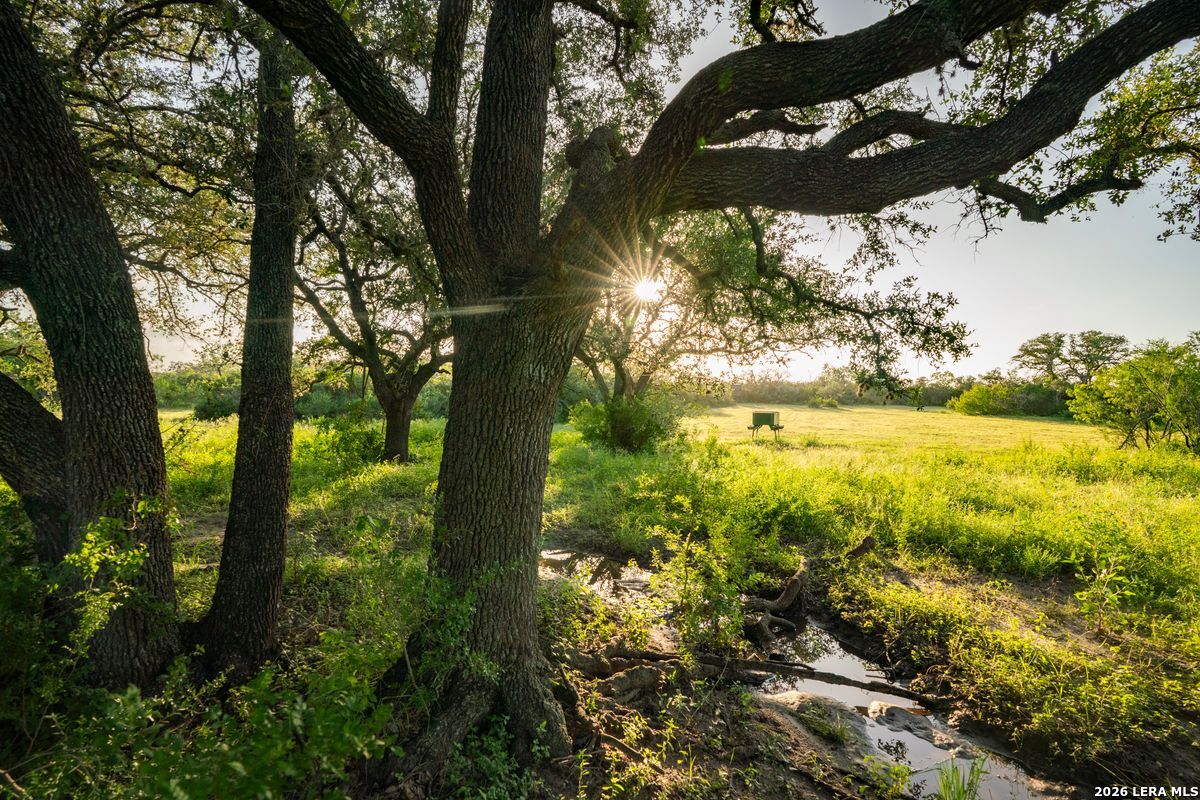 10255 County Road 113, Pettus, TX 78146