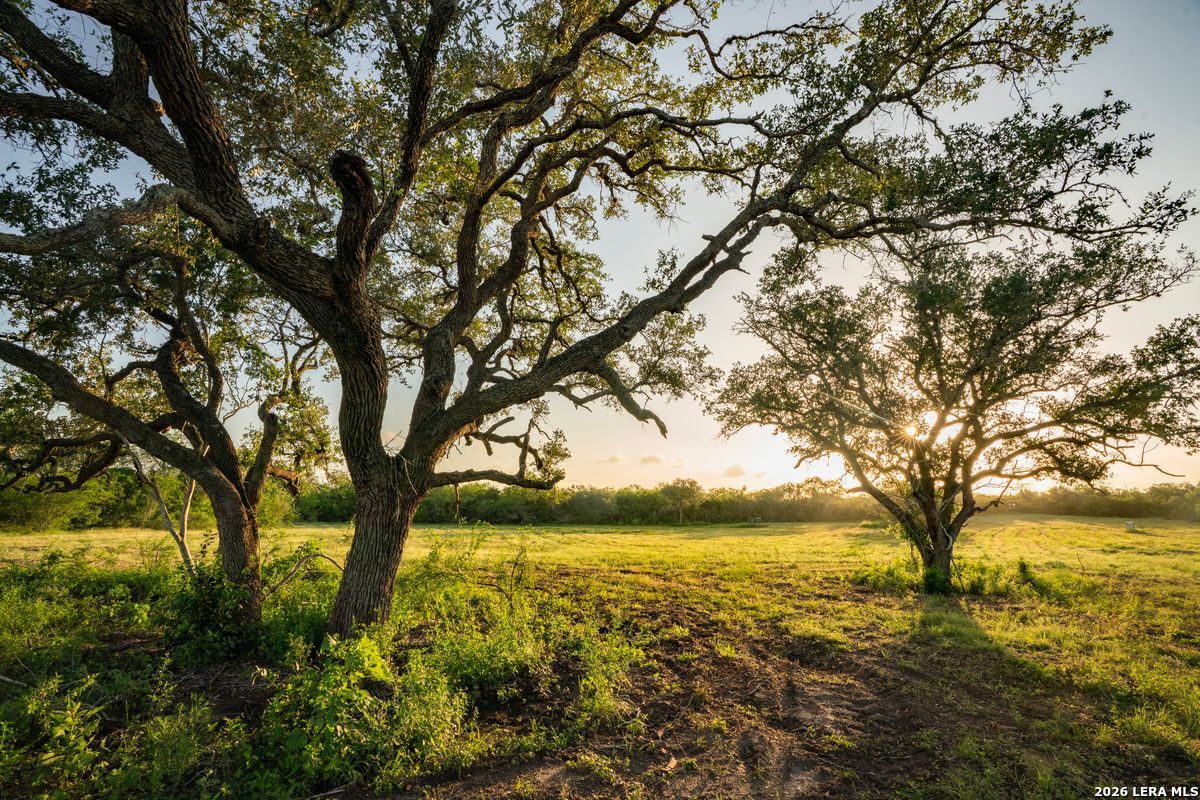10255 County Road 113, Pettus, TX 78146