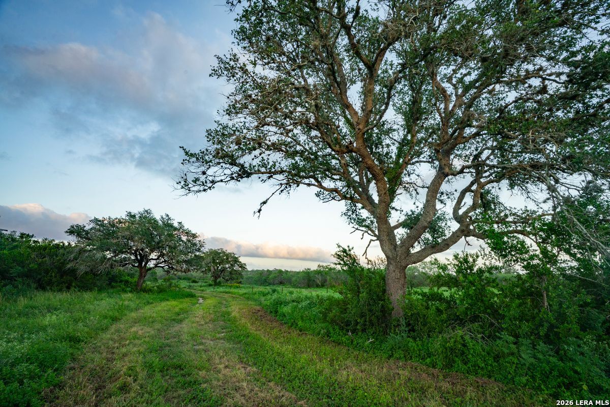 10255 County Road 113, Pettus, TX 78146