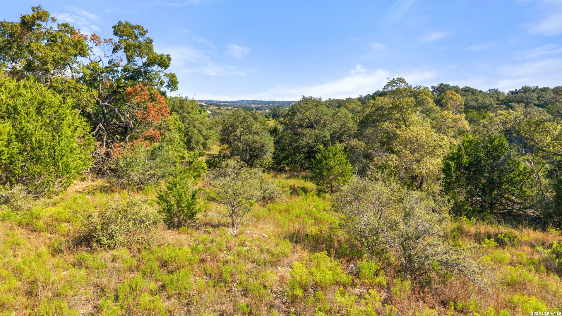 118 GADWALL WAY, Spring Branch, TX 78070