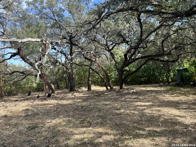 1022 WILD PERSIMMON ST, San Antonio, TX 78245