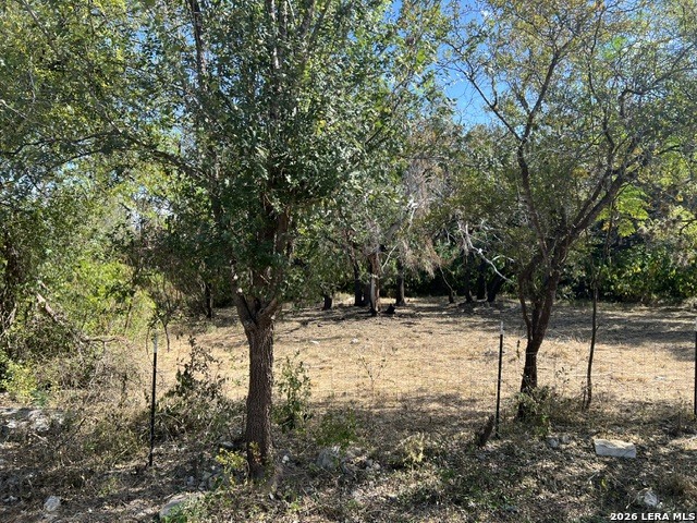 1022 WILD PERSIMMON ST, San Antonio, TX 78245