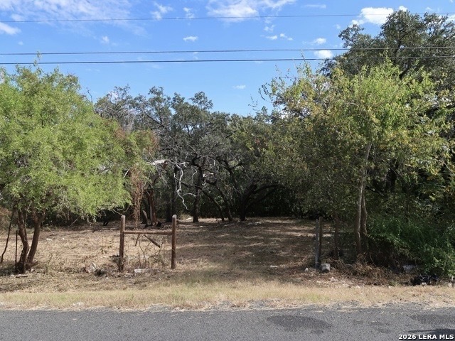 Property photo for 1022 WILD PERSIMMON ST, San Antonio, TX