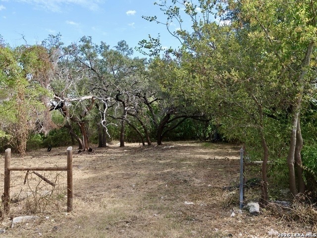 1022 WILD PERSIMMON ST, San Antonio, TX 78245