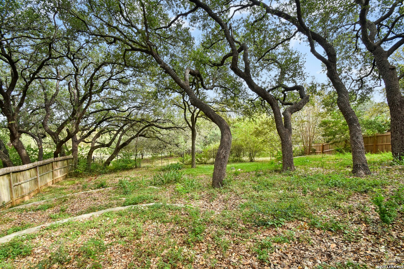 1118 CHARLISAS WAY, San Antonio, TX 78216