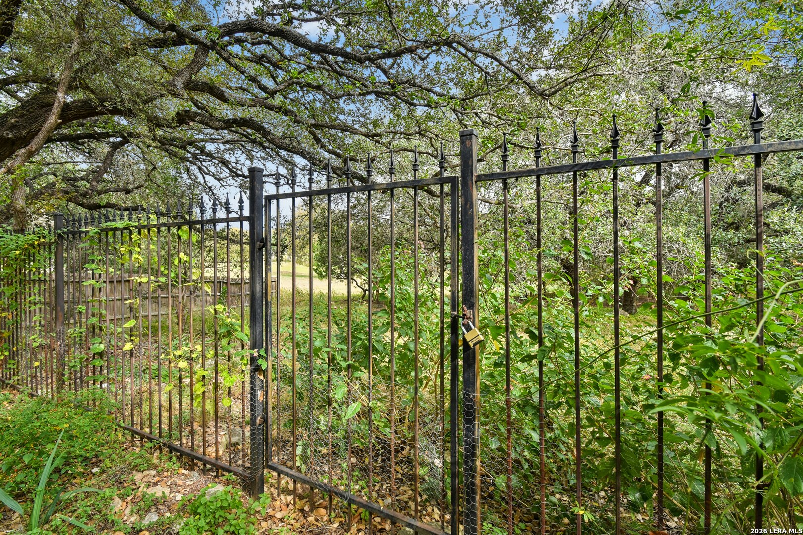 1118 CHARLISAS WAY, San Antonio, TX 78216
