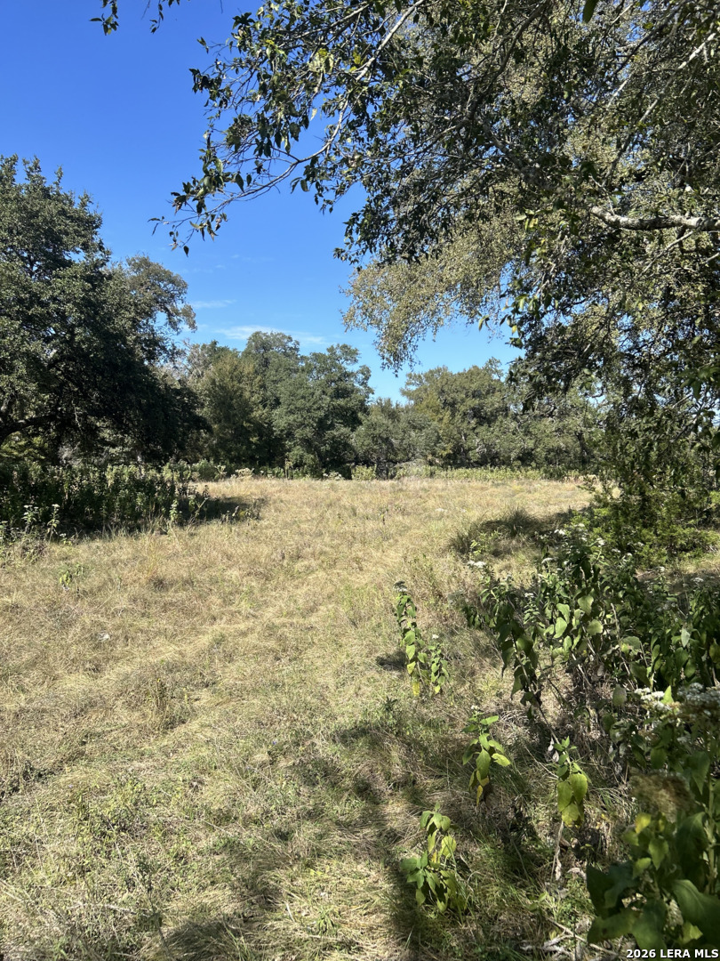 31303 SMITHSON VALLEY RD, Bulverde, TX 78163