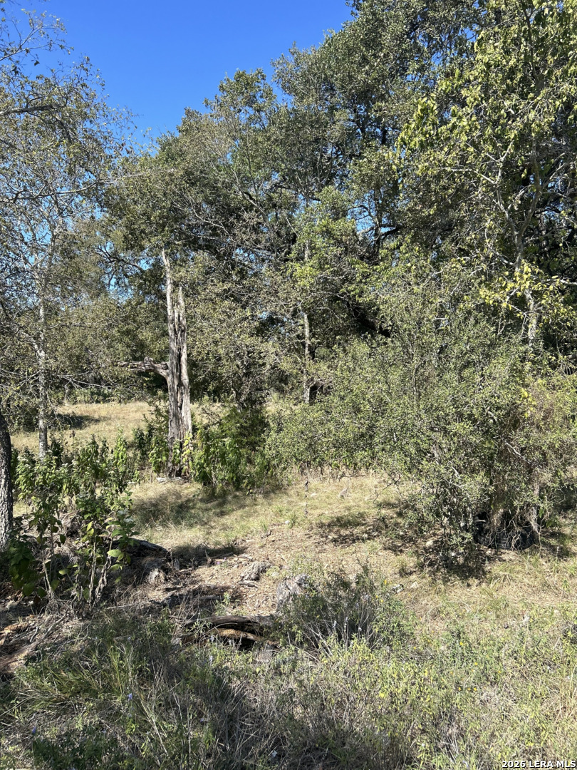 31303 SMITHSON VALLEY RD, Bulverde, TX 78163