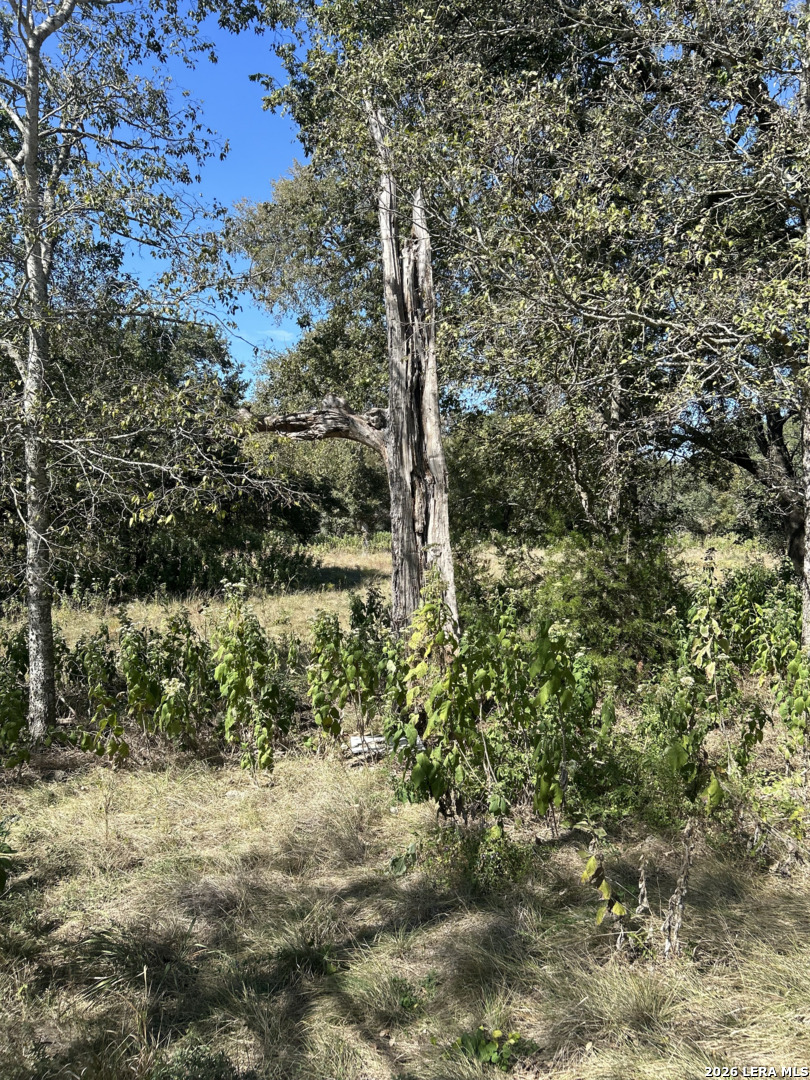 31303 SMITHSON VALLEY RD, Bulverde, TX 78163