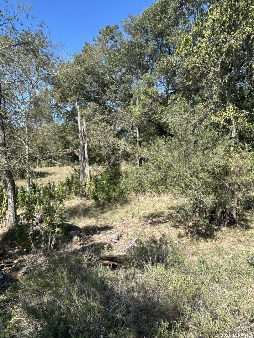 31303 SMITHSON VALLEY RD, Bulverde, TX 78163