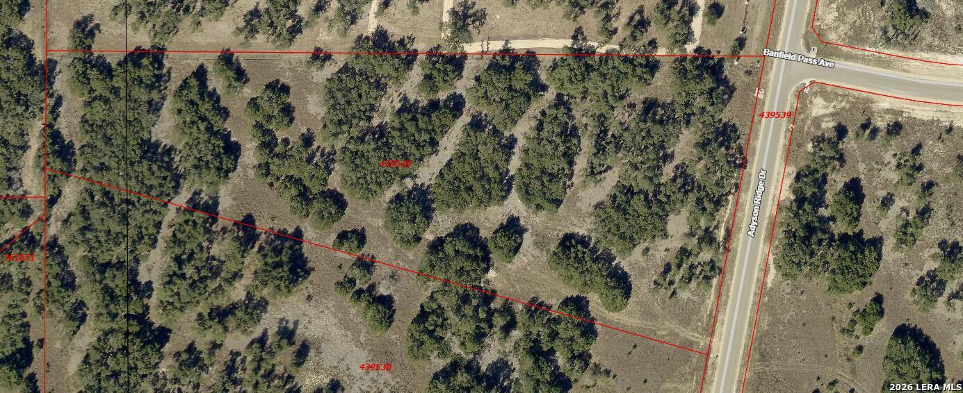Property photo for 1076 Adyson Ridge, Bulverde, TX