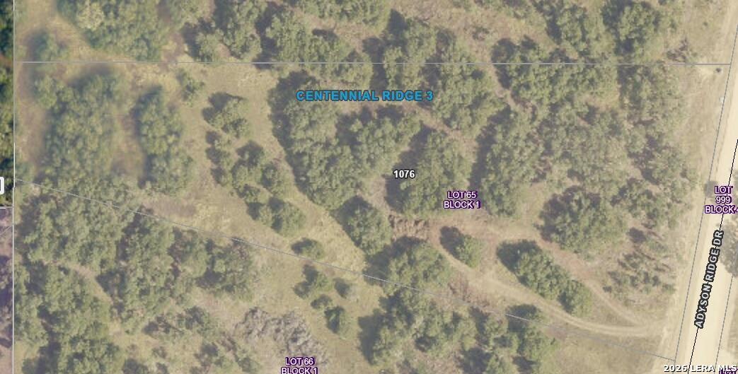1076 Adyson Ridge, Bulverde, TX 78163