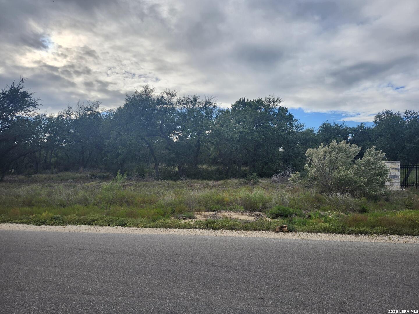 1076 Adyson Ridge, Bulverde, TX 78163