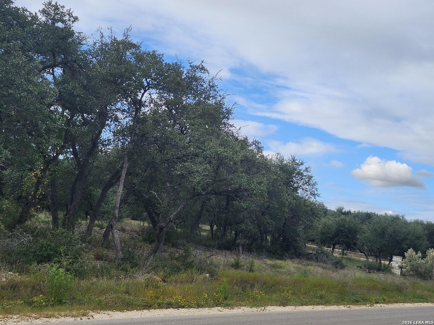 1076 Adyson Ridge, Bulverde, TX 78163
