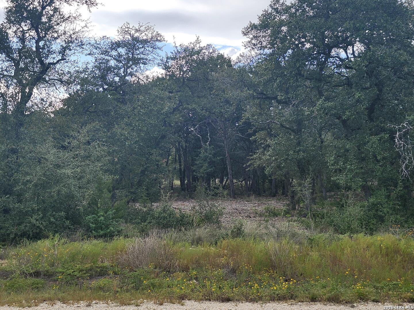 1076 Adyson Ridge, Bulverde, TX 78163