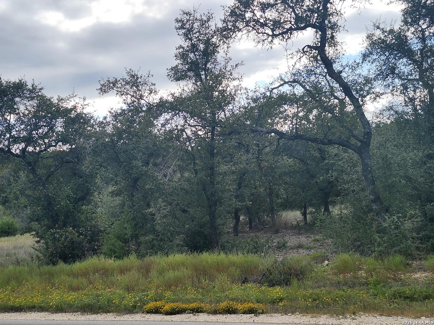 1076 Adyson Ridge, Bulverde, TX 78163