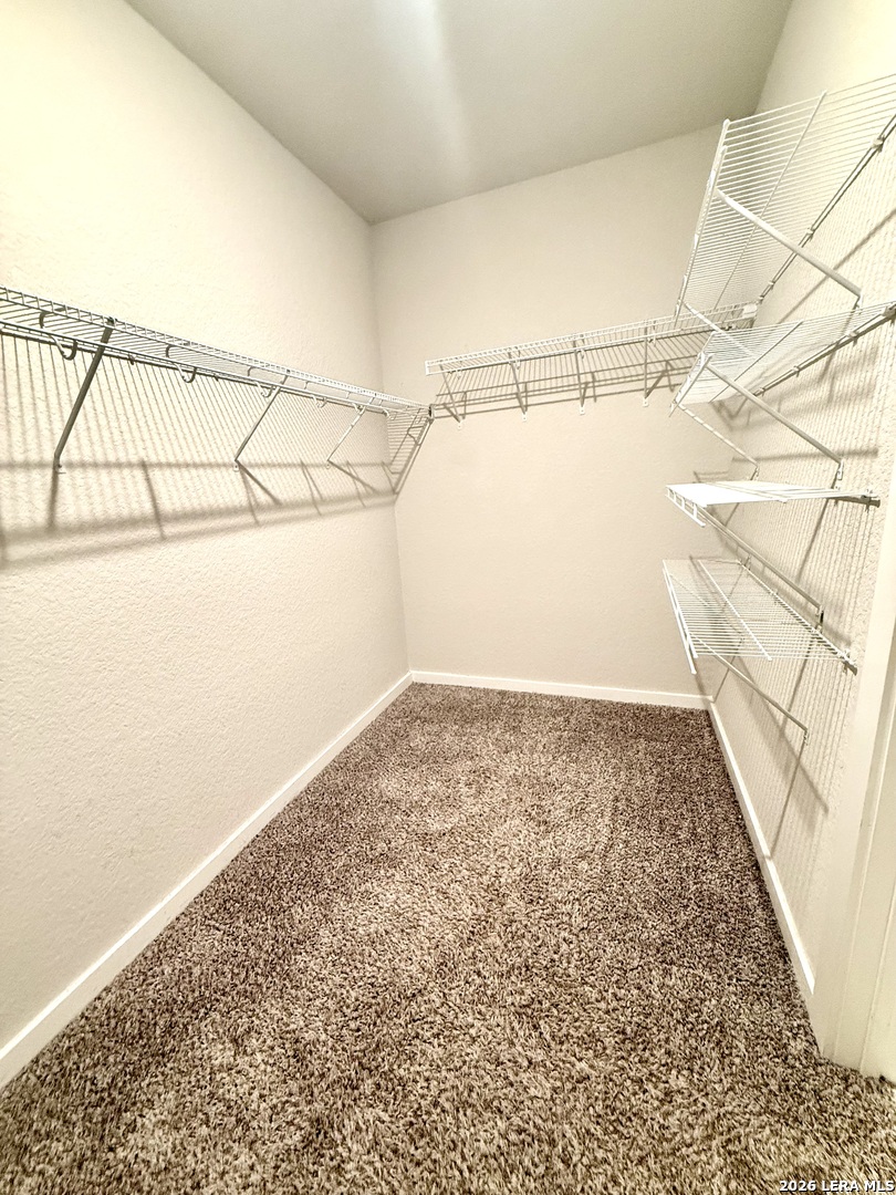 13533 Sendero Roble, San Antonio, TX 78253