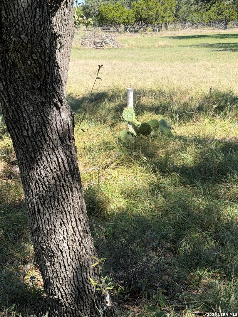 111 Sd 37980, Barksdale, TX 78828