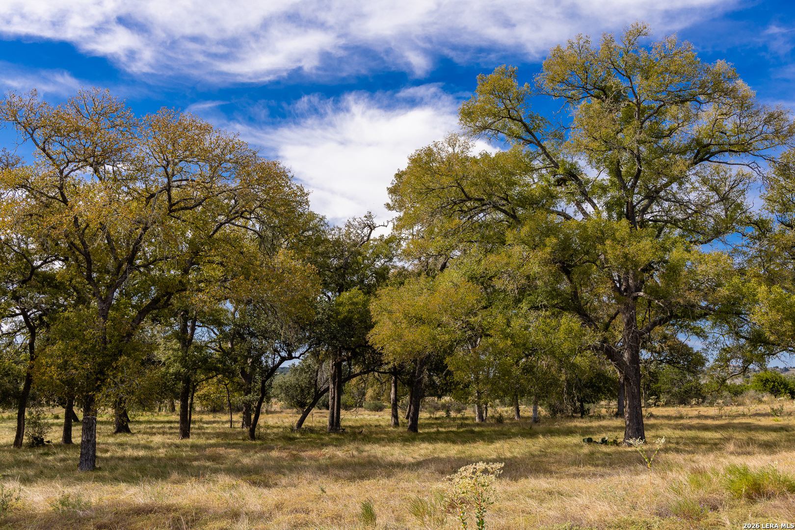 LOT 54 Cool Creek Rd, Camp Verde, TX 78010