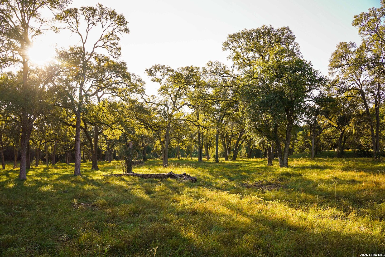 127 CAMP ALZAFAR RD, Boerne, TX 78006