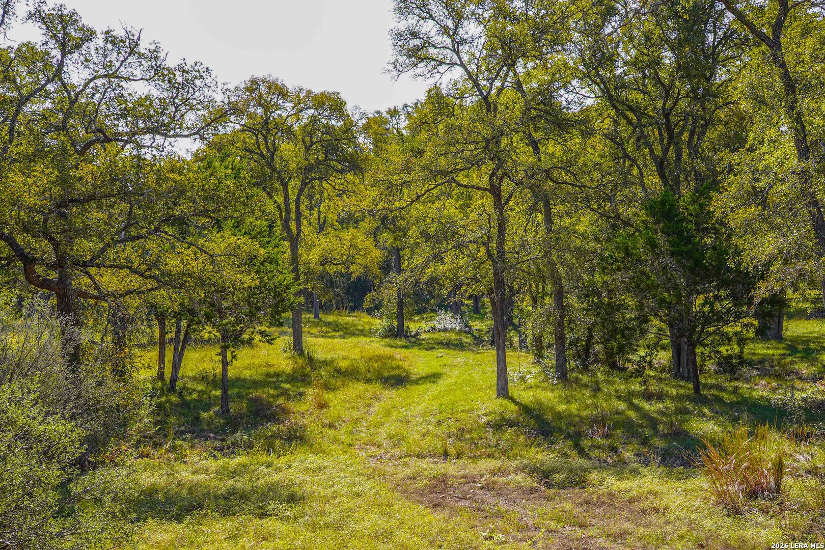 127 CAMP ALZAFAR RD, Boerne, TX 78006
