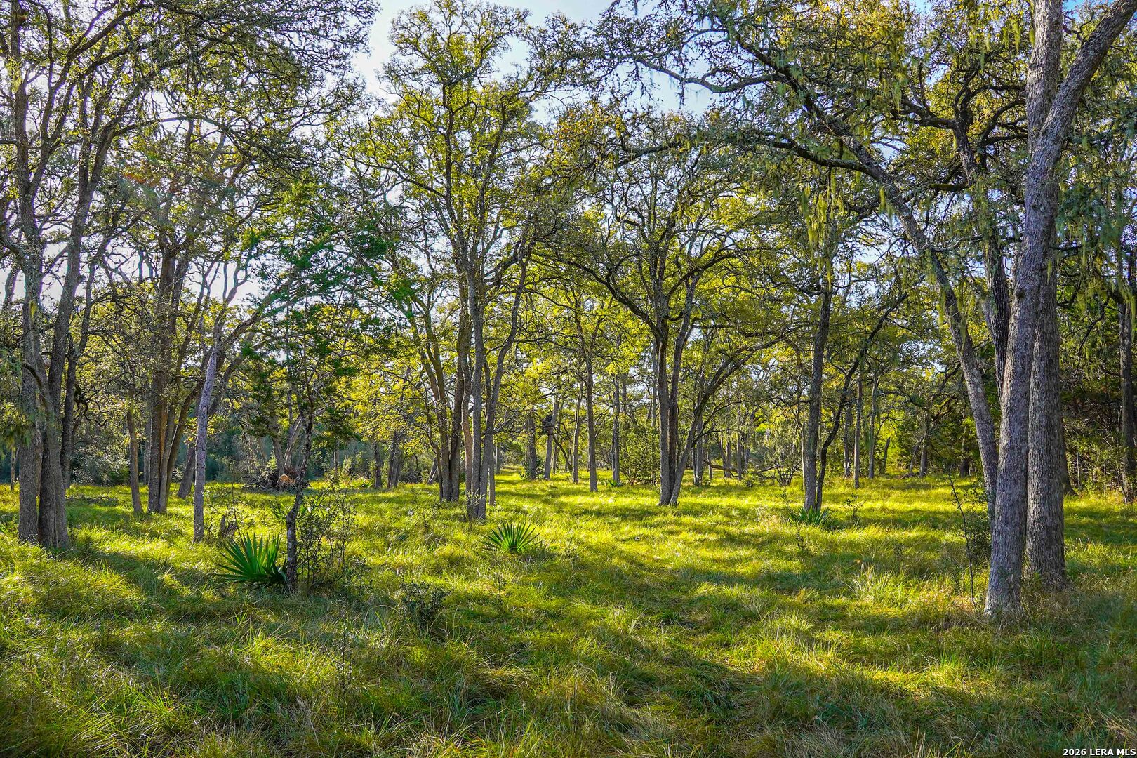 127 CAMP ALZAFAR RD, Boerne, TX 78006