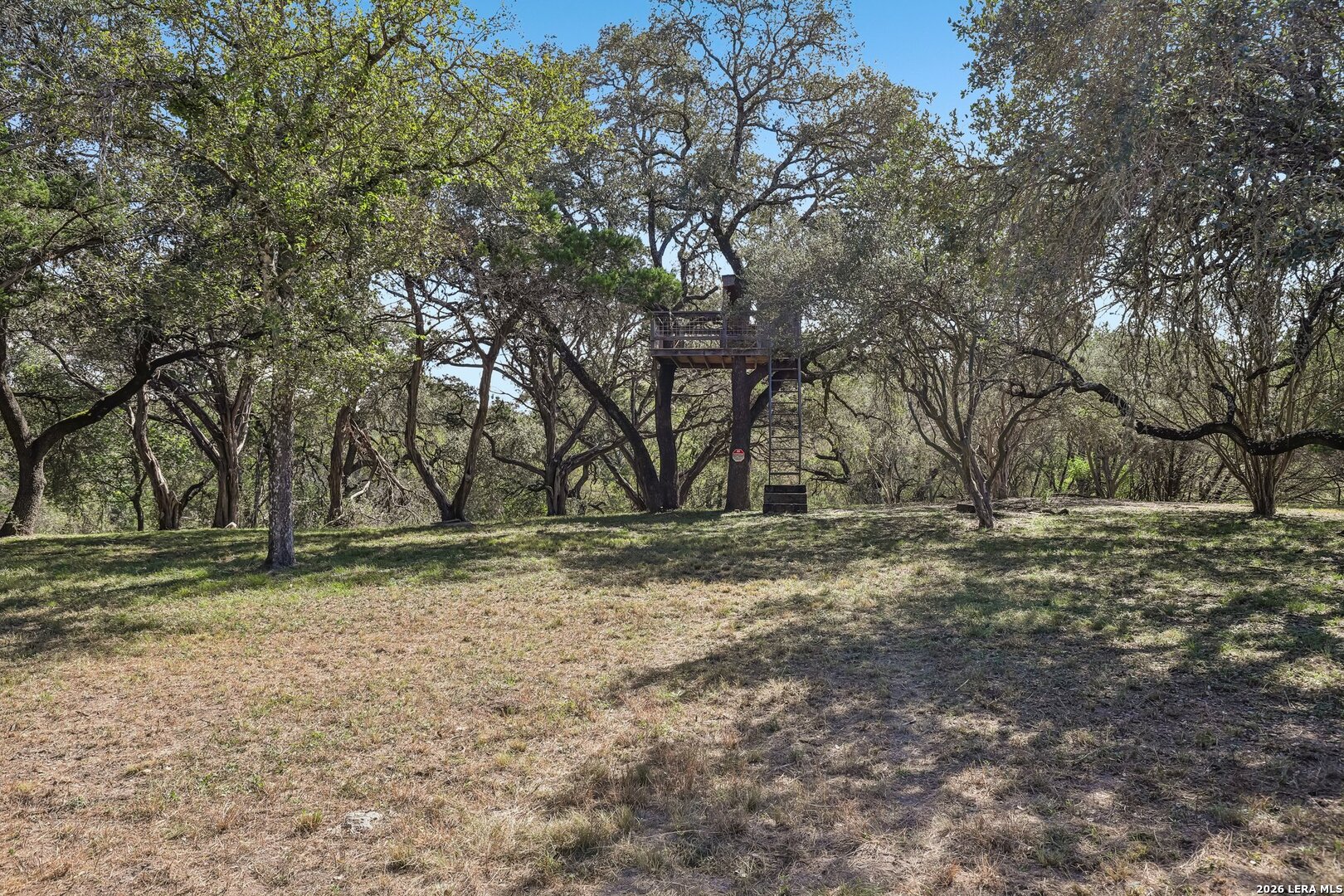 Yard/Garden