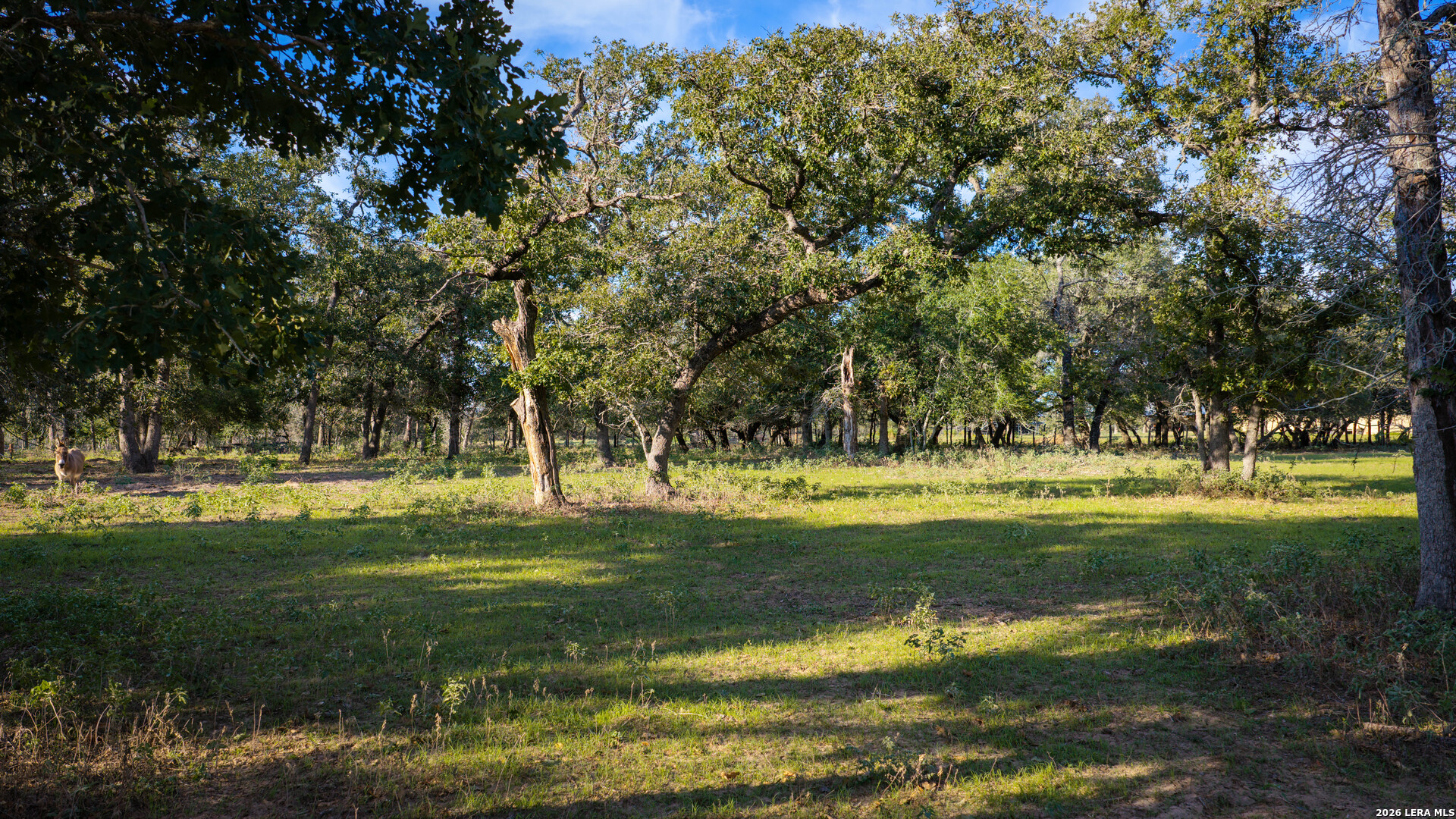 Property photo for 109 County Road 436, Stockdale, TX