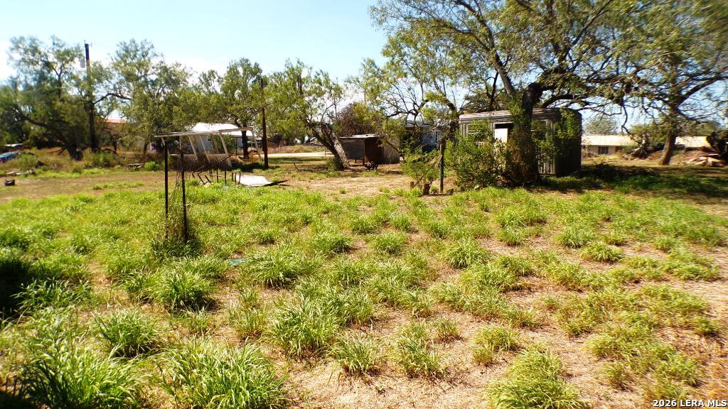 1603 HACKBERRY ST, Three Rivers, TX 78071