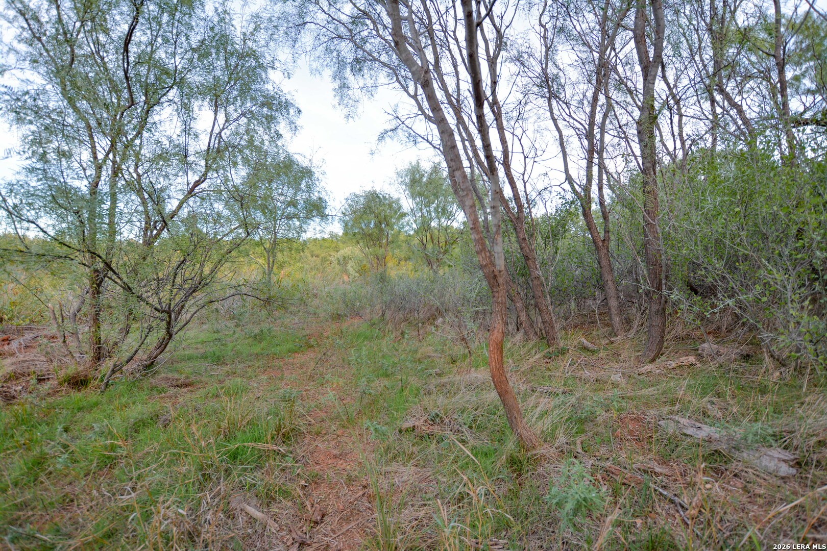 TBD FM 600, Abilene, TX 79601