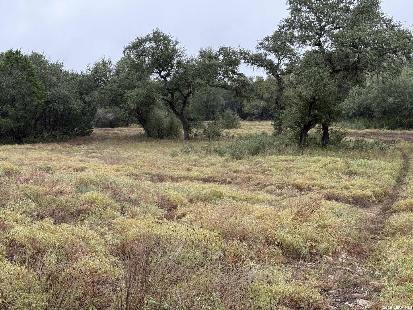 29711 Fm 306, Spring Branch, TX 78070