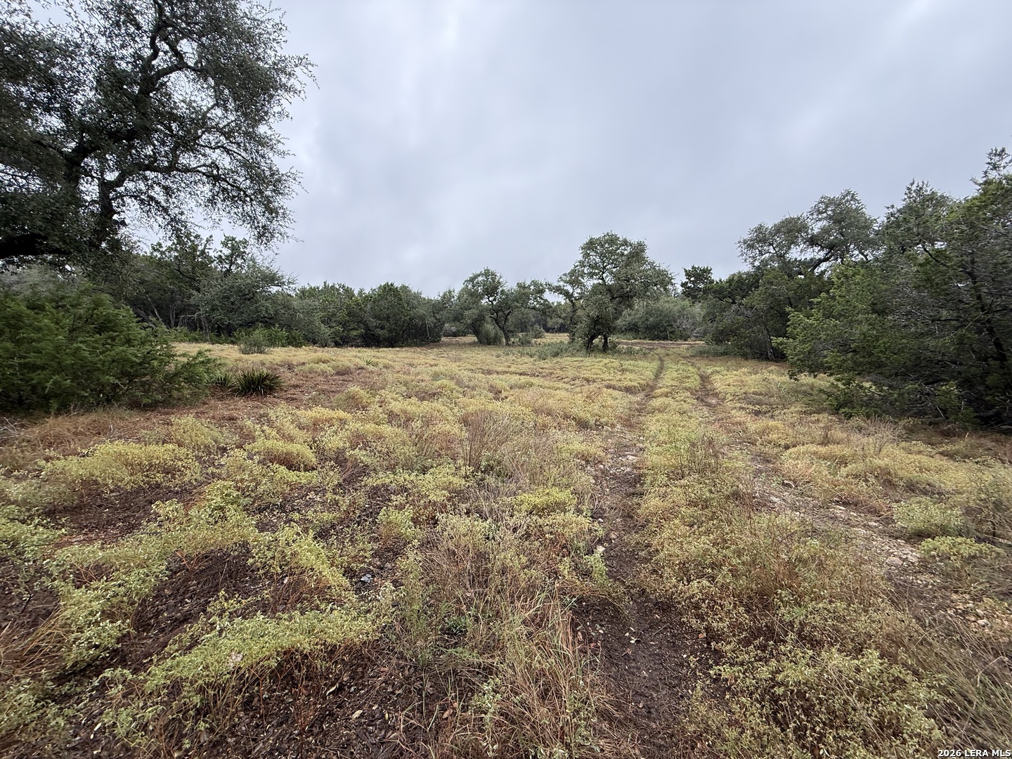 29711 Fm 306, Spring Branch, TX 78070