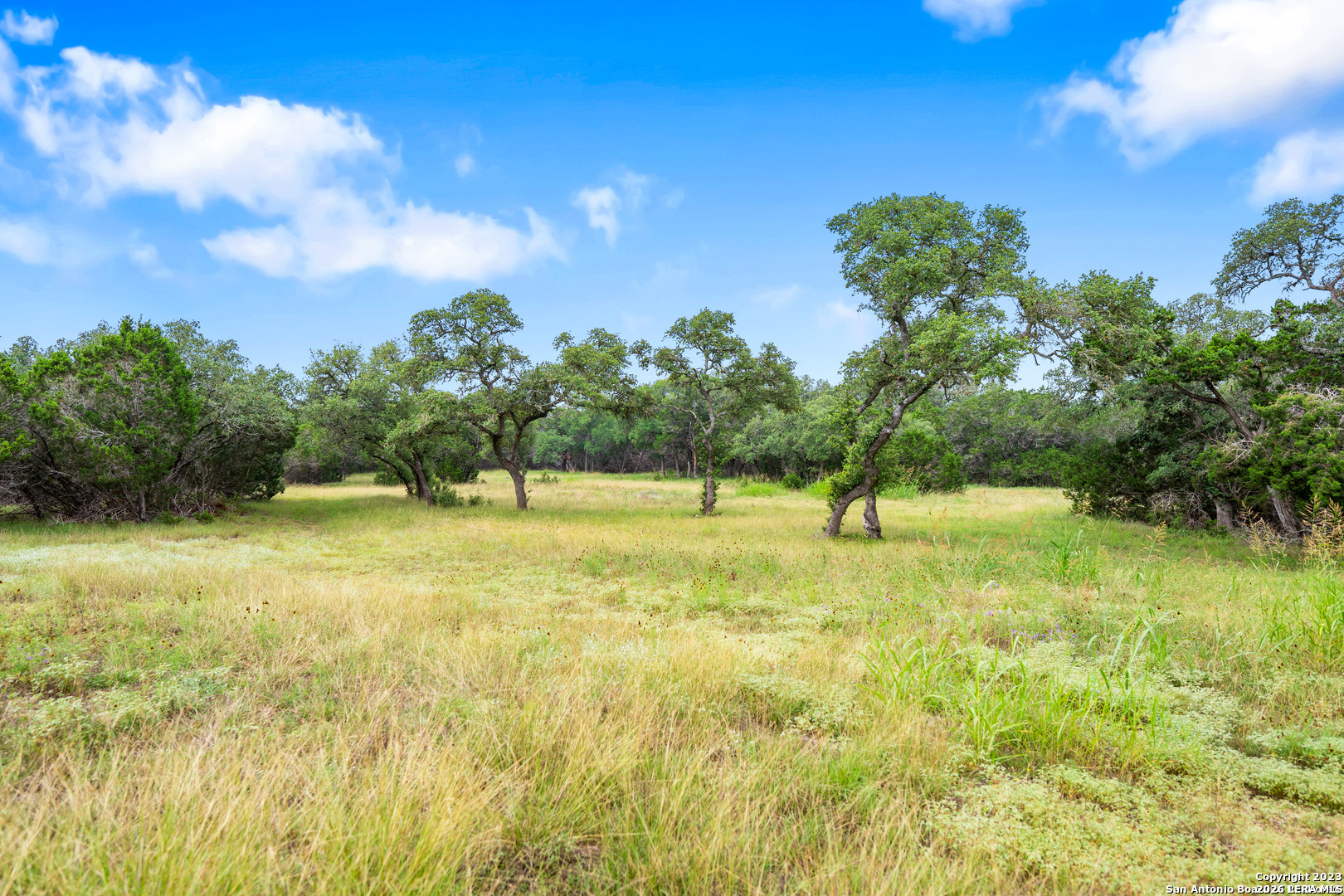 29711 Fm 306, Spring Branch, TX 78070